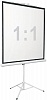 Экран 150x150см Digis Kontur-D DSKD-1103 1:1 напольный рулонный